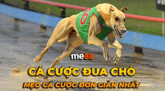 Tôi cần chuẩn bị những gì để đăng ký trở thành thành viên của Win23? - Win23