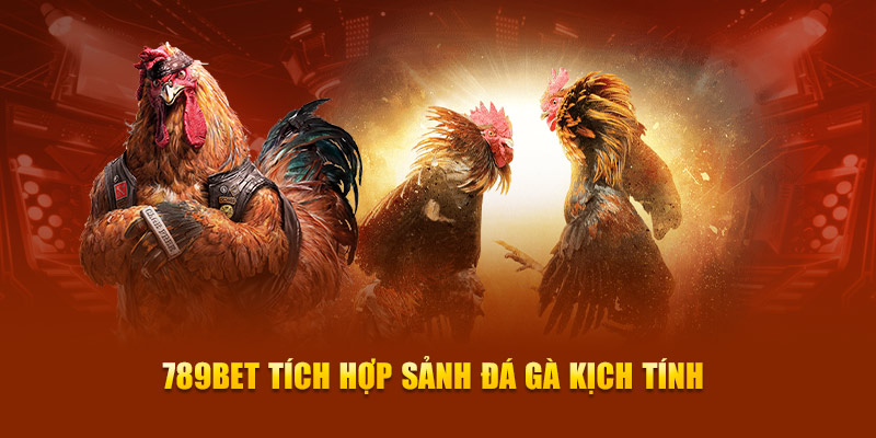 Trách nhiệm và quyền lợi của các cầu thủ cấp độ 999Bet - 999Bet