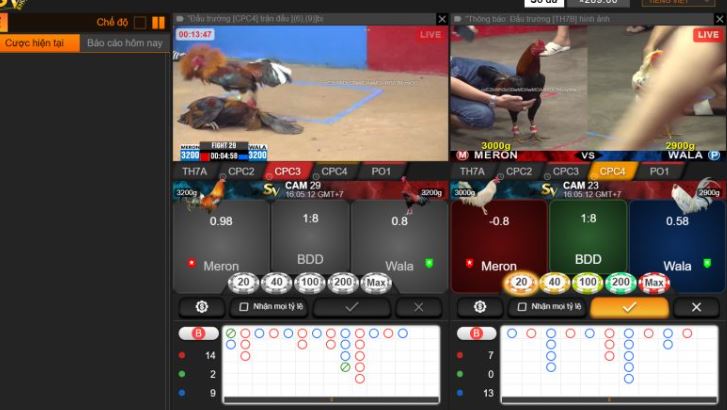 Xếp hạng D9bet có đáng tin cậy không? - D9bet