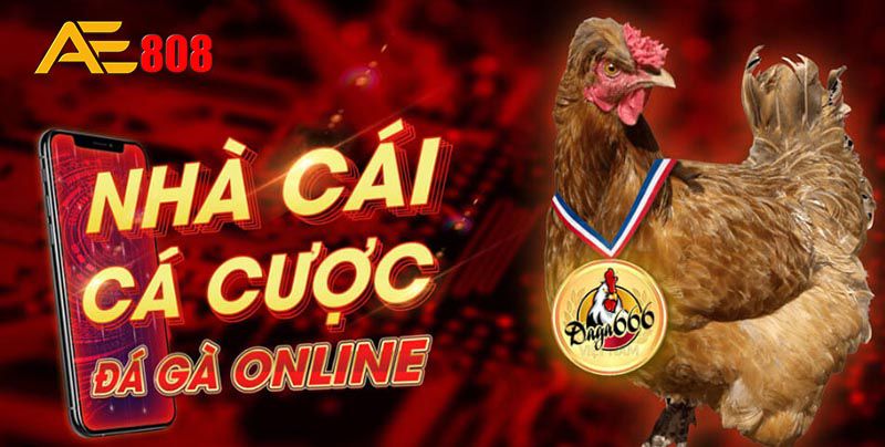 Trên trang web chơi game Banca Fun, bạn có thể tận hưởng trải nghiệm chơi game công bằng và chính trực - Banca