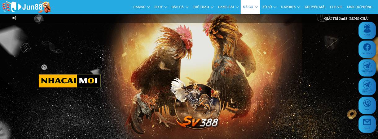 Kết quả và thống kê cuộc thi Da88 - Da88