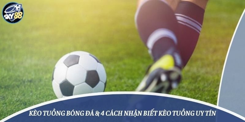 Thành viên VIP F8bet được phân loại theo thành phố - F8bet