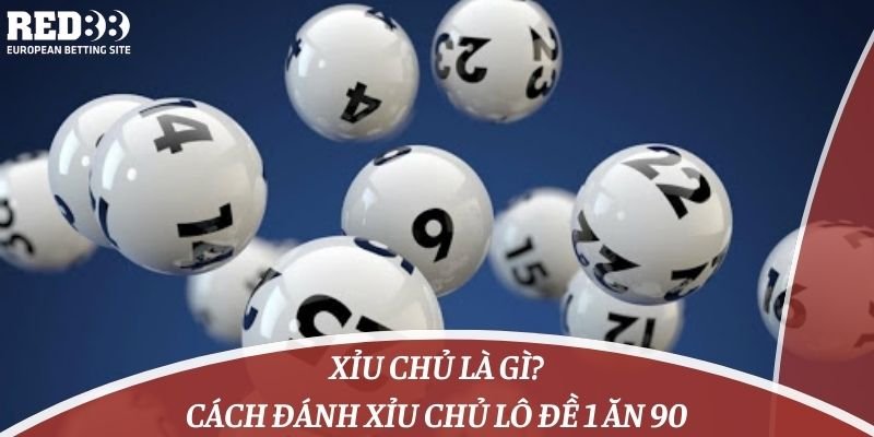 Khi đặt cược vào các đội bóng thuộc cấp độ Ptwin, người chơi nên chú ý đến những điểm sau: - Ptwin