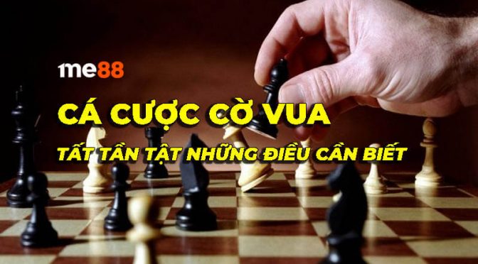 Các hoạt động khuyến mãi phổ biến dành cho thành viên Ku11 năm 2026 - Ku11