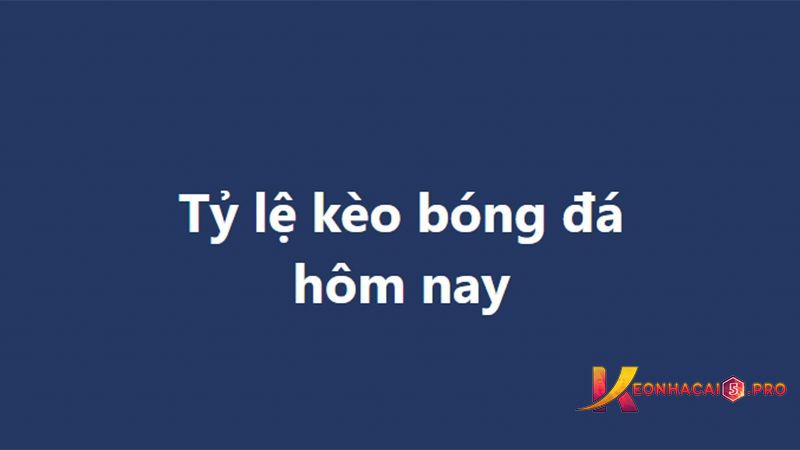 Bên cạnh Acb8, hãy cùng xem xét một số lựa chọn cá cược hấp dẫn khác - Acb8