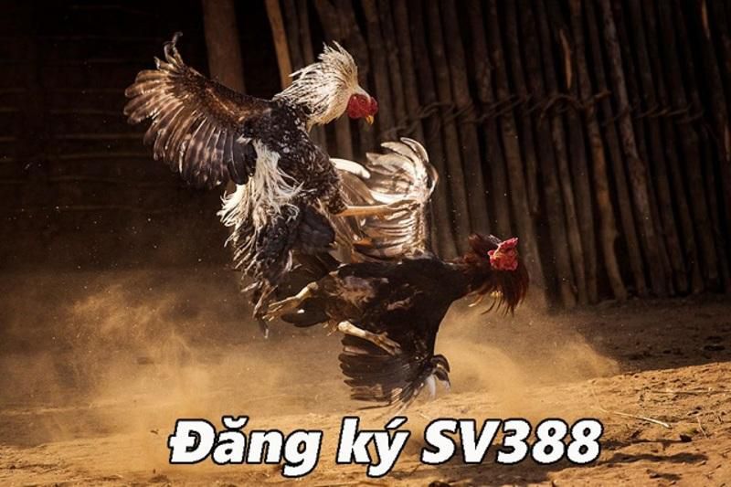 Hệ thống an ninh hiện đại đạt chuẩn Kubet88 - Kubet88