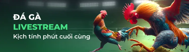 Các đại lý 85Bet kiếm tiền thông qua các nhà phân phối 85Bet - 85Bet