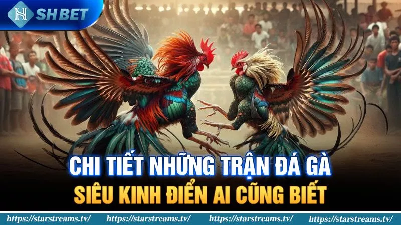 Giới thiệu ngắn gọn về công ty game Vb66 lâu đời - Vb66